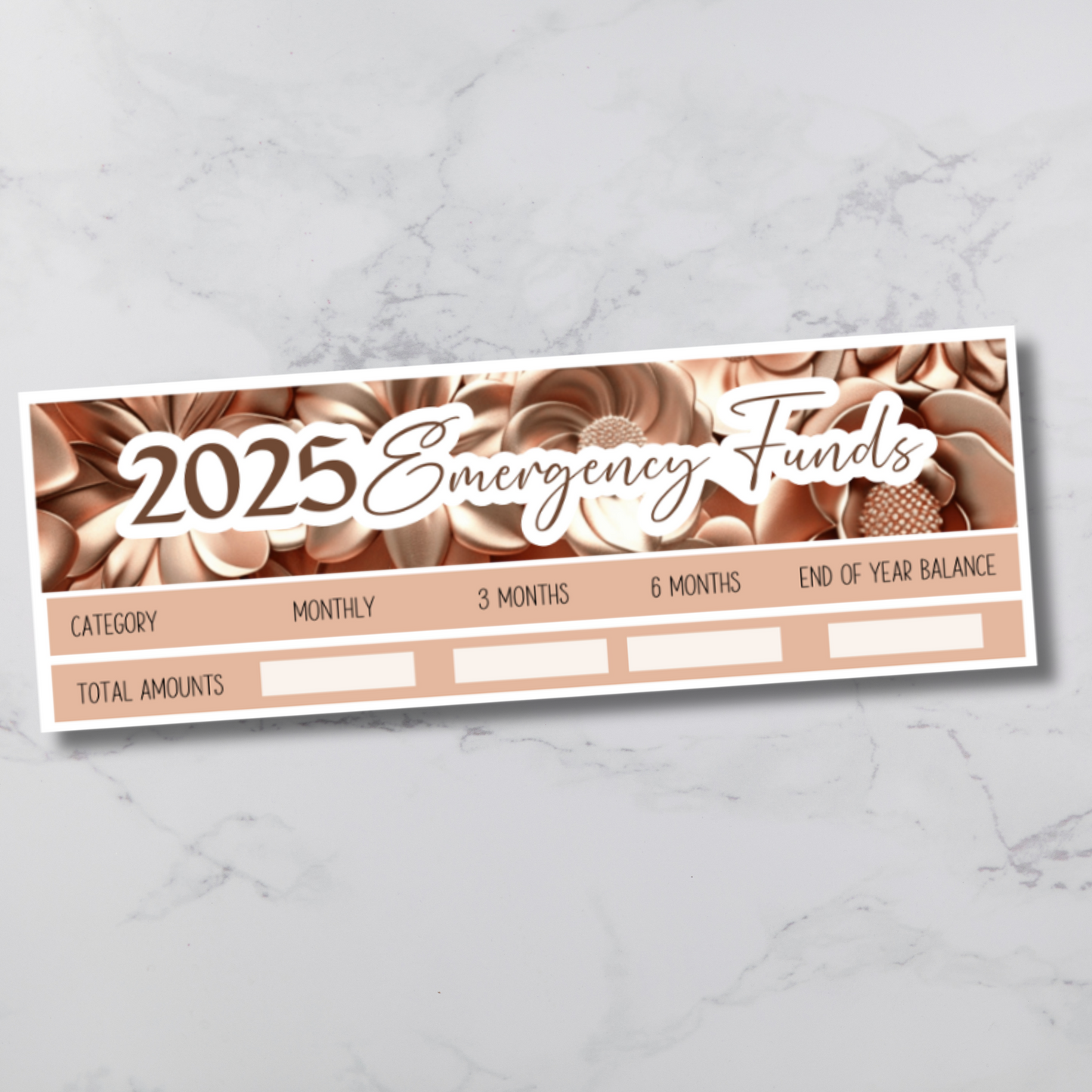 2025 Budget Stickers Bundle